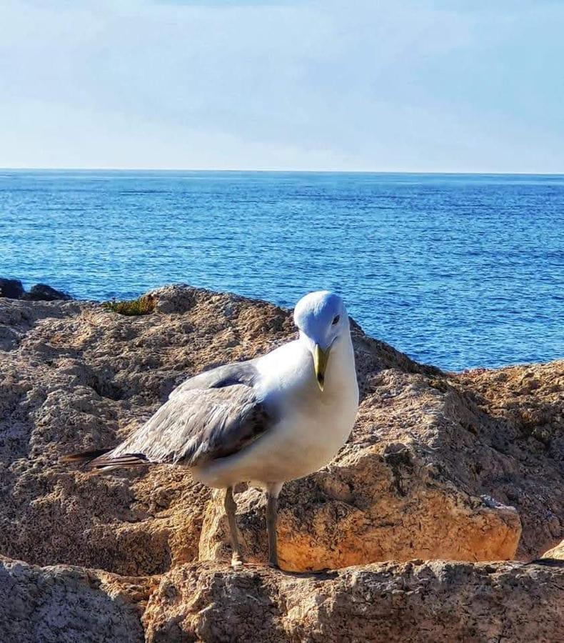 Comodo Apartamento Cerca Del Mar Santa Pola Kültér fotó